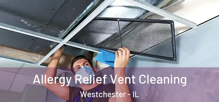  Allergy Relief Vent Cleaning Westchester - IL