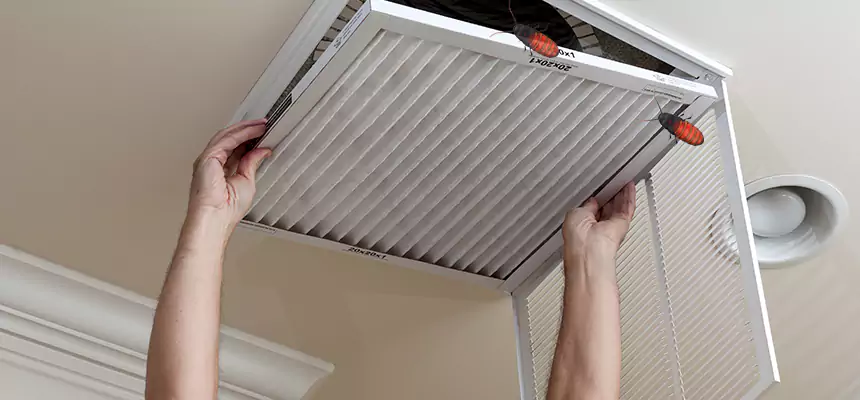 Preventive Cockroach-Proofing for Ducts in Westchester