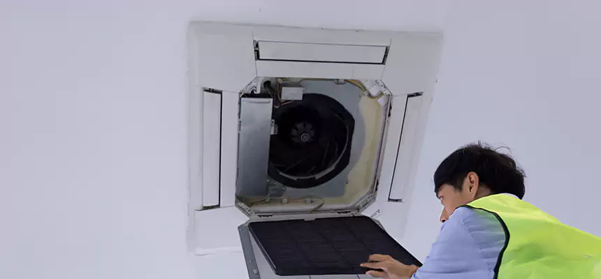 Our Dryer Vent Sanitization Service Services in Westchester, IL