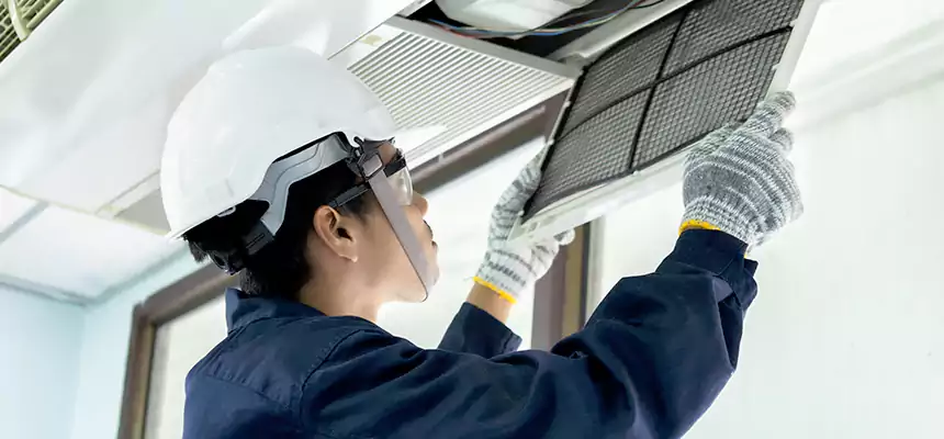 Our Mold & Mildew Removal from Air Ducts Services in Westchester, IL