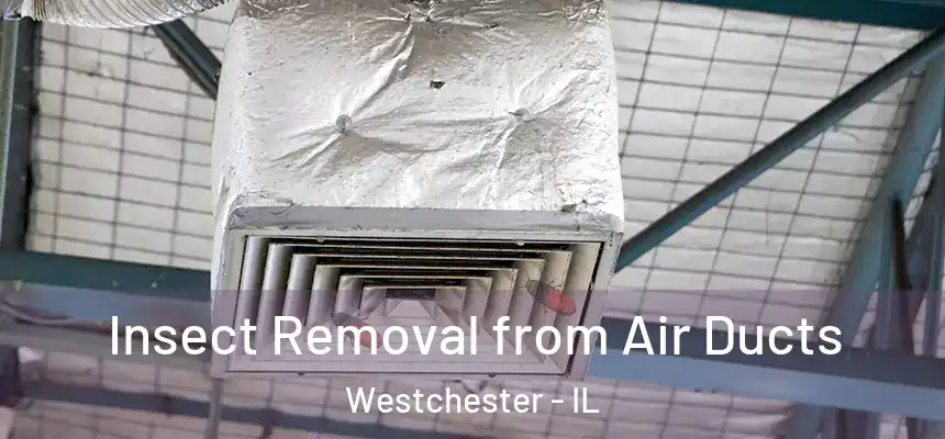  Insect Removal from Air Ducts Westchester - IL