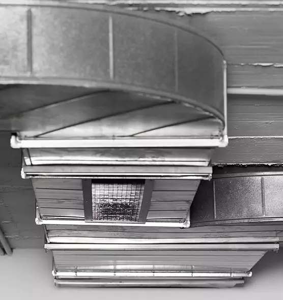 Professional Air Duct Pest Removal in Westchester, IL