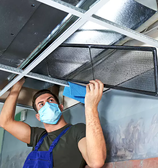 Professional Air Duct Pollen Cleaning in Westchester, IL