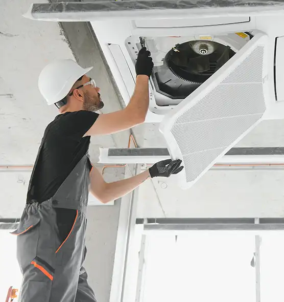 About Air Duct Rodent Removal in Westchester, IL