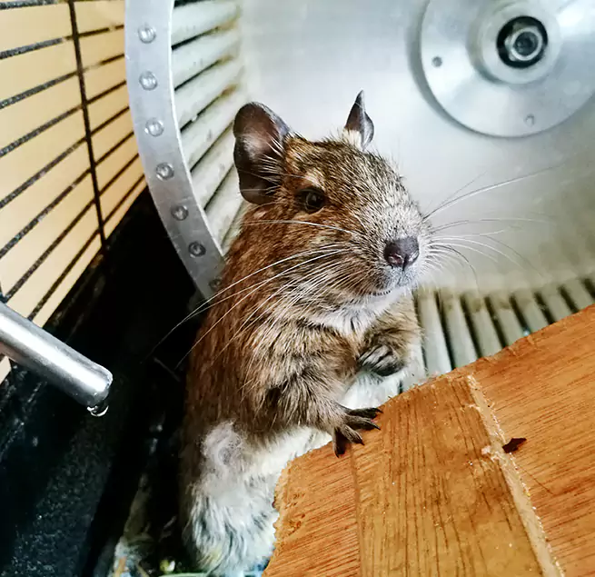 Why Homeowners & Businesses Trust Us Westchester, IL?