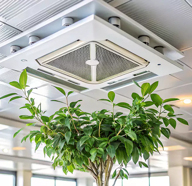 Why Homeowners & Businesses Trust Us in Westchester, IL