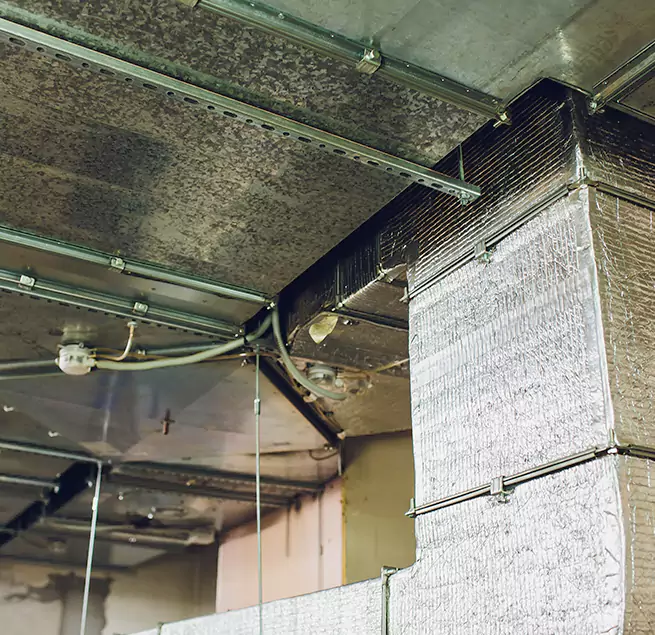 Why Homeowners & Businesses Trust Us in Westchester, IL?