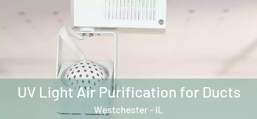  UV Light Air Purification for Ducts Westchester - IL